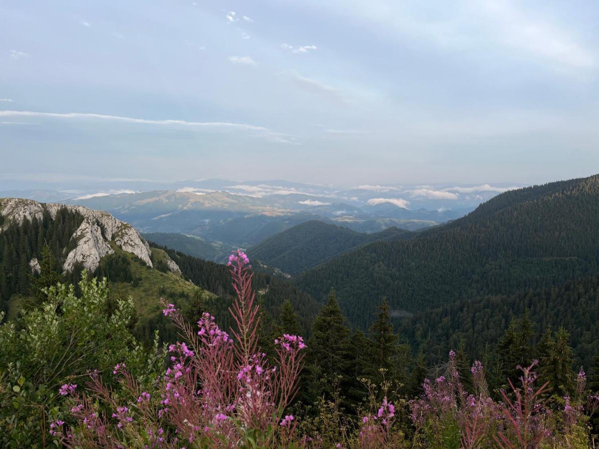 Lux Apartman A18 & Spa Centar Kopaonik Kültér fotó